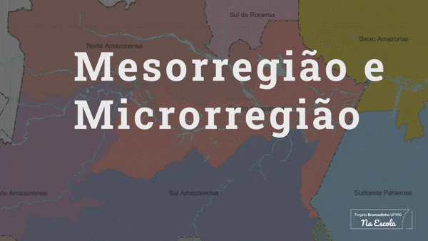 mesorregiao e microrregiao