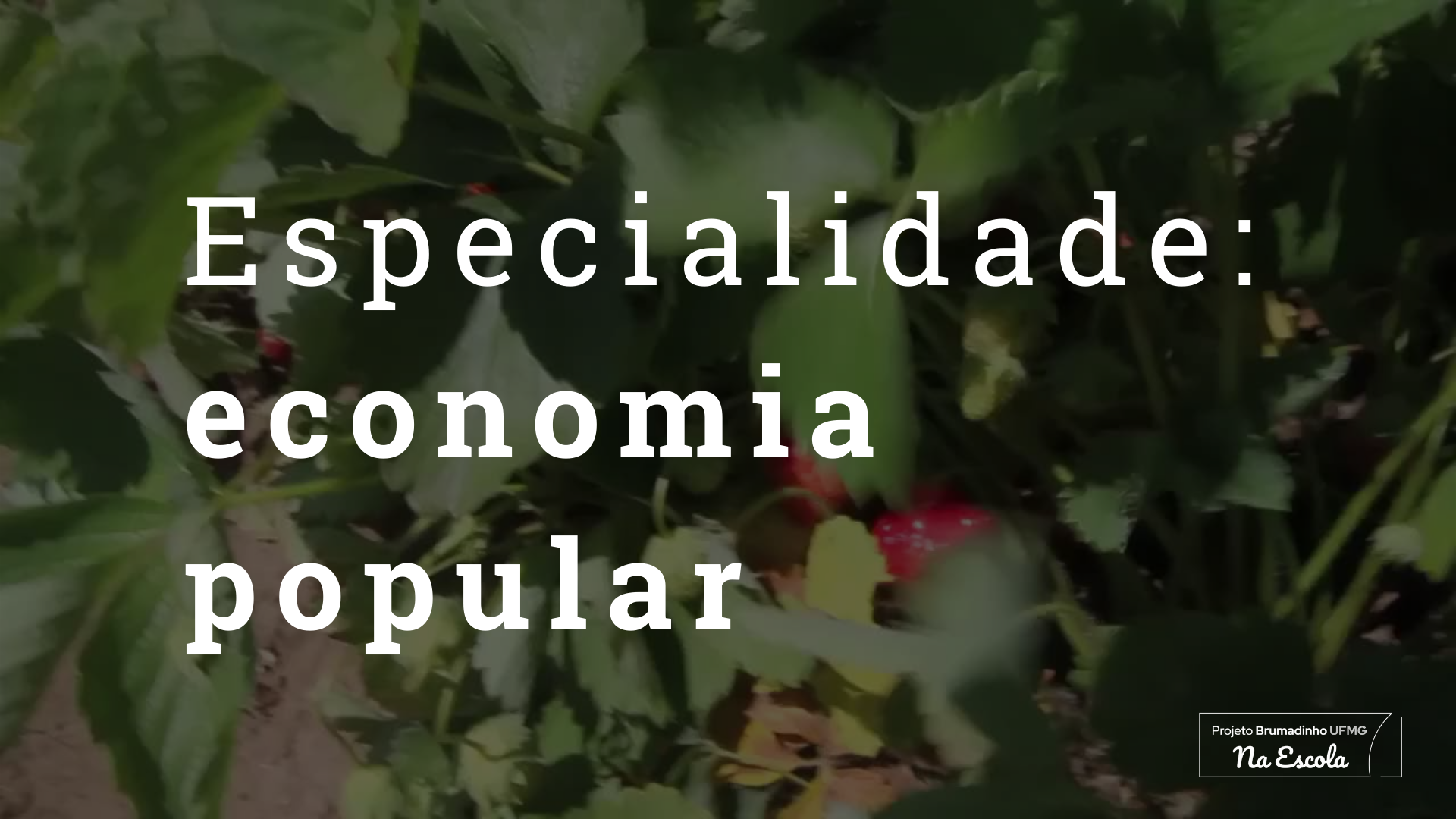 economia popular