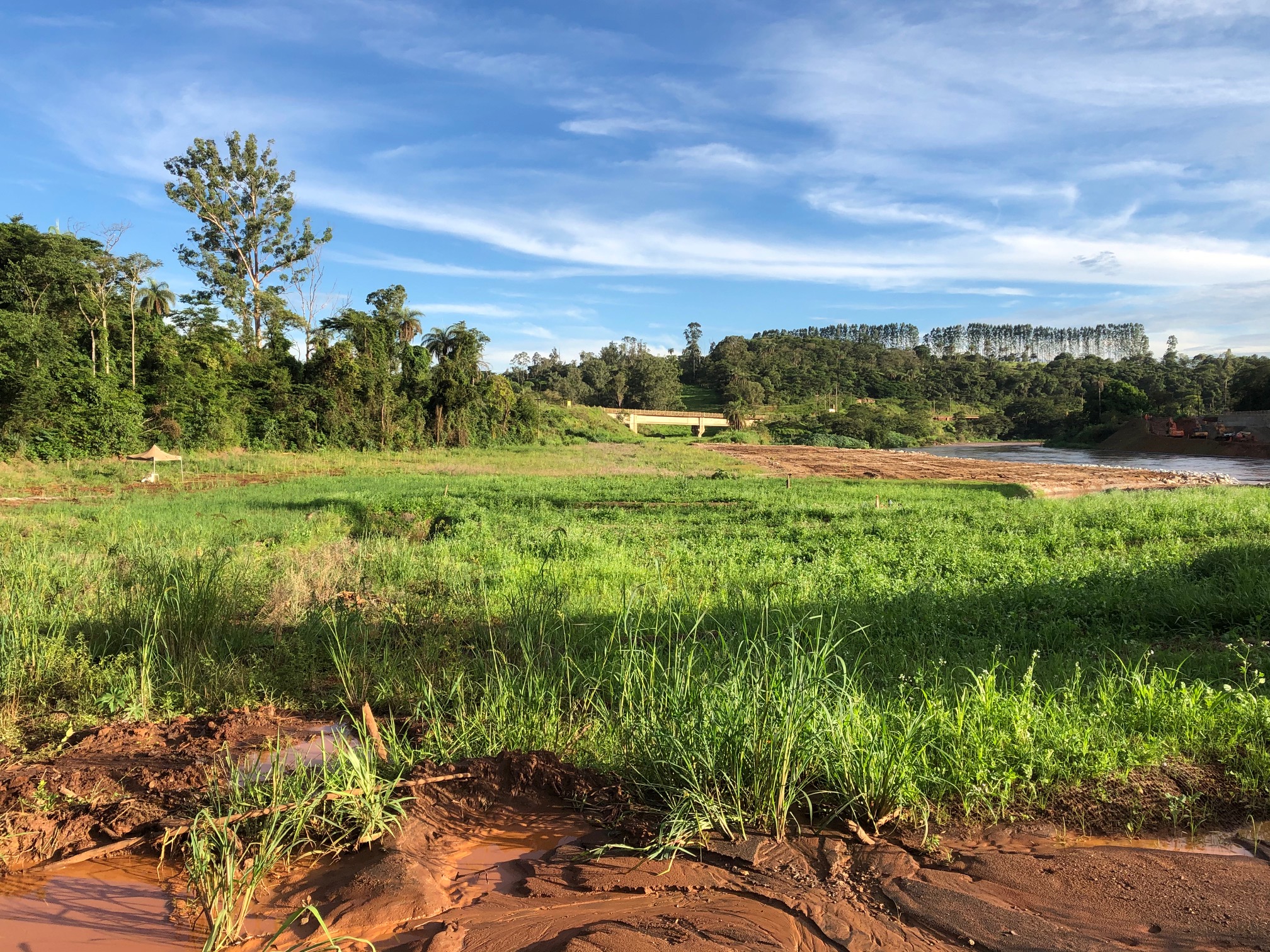 brumadinho