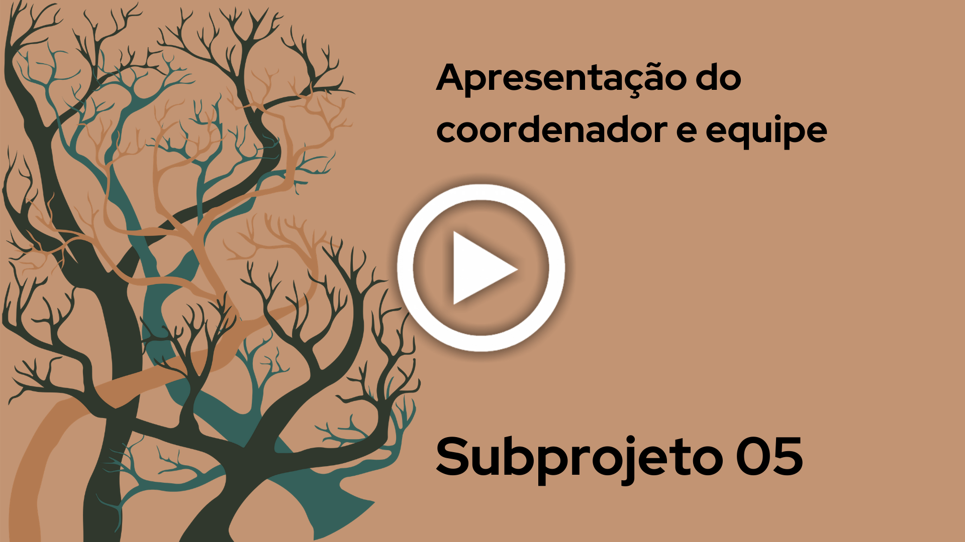 Subprojeto 05: Apresentação do coordenador e da equipe.