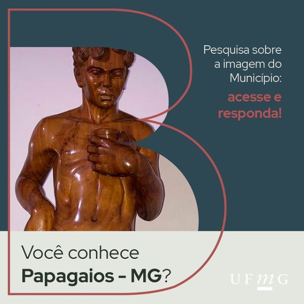 papagaios