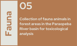 fauna 5